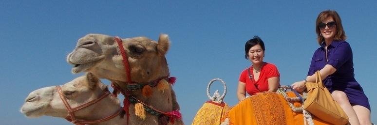 Now @ www.instagram.com/stephanielfiedler/ banner