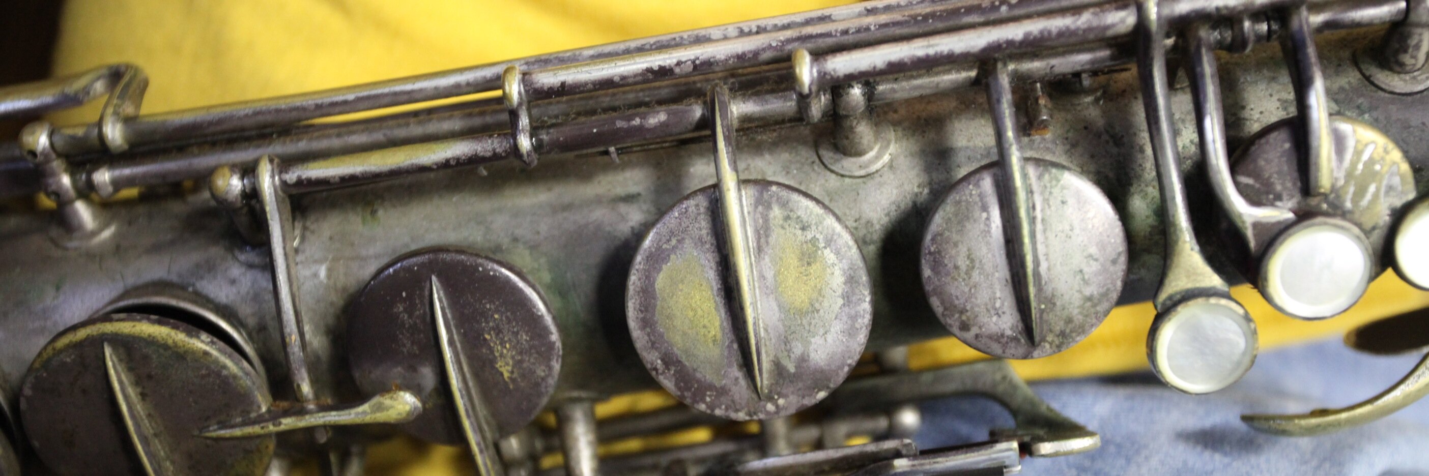 SienaJazz's profile banner image