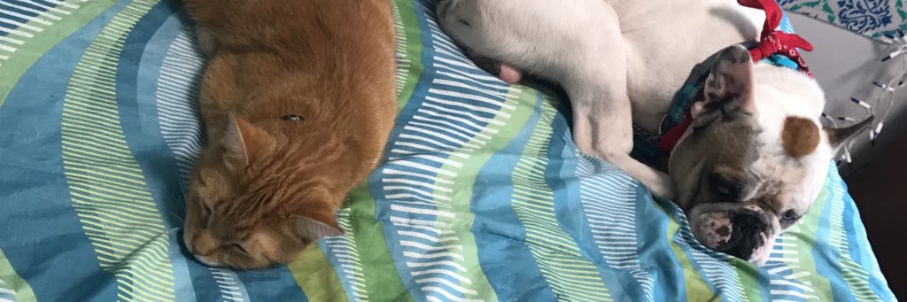 casebear33's profile banner image