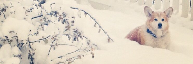 DaytonClark13's profile banner image