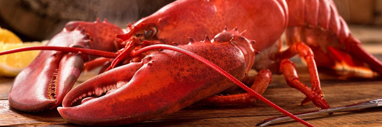 Pinchy boi banner