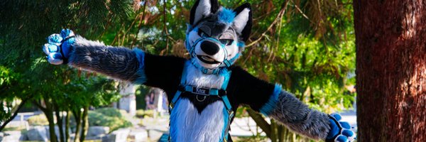 KnoxTheWolf Profile Banner