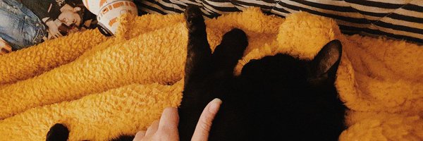 Dougstache Profile Banner