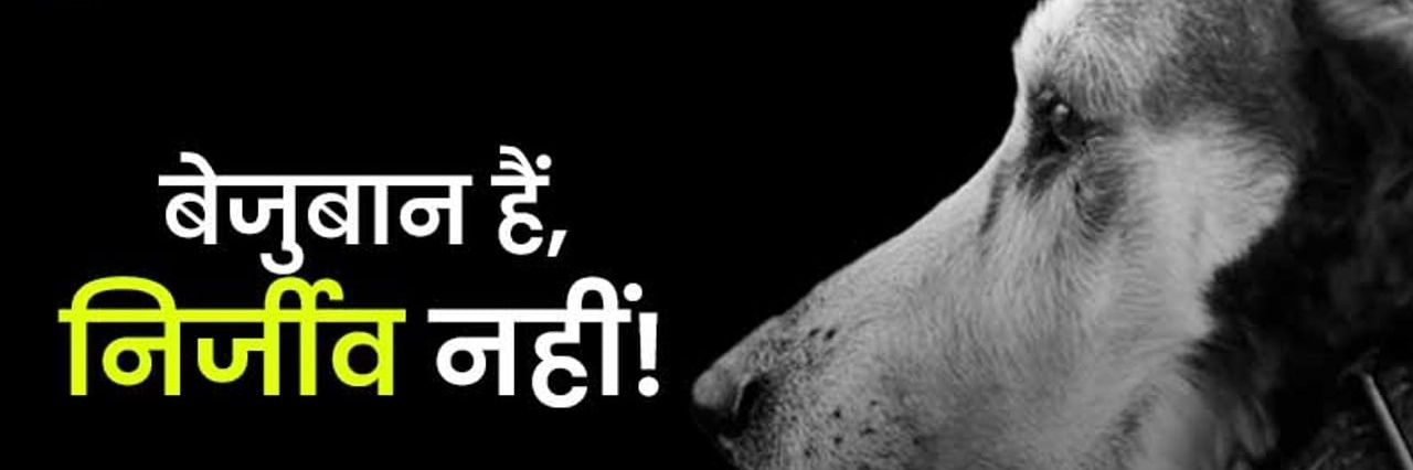 Anu28970166's profile banner image