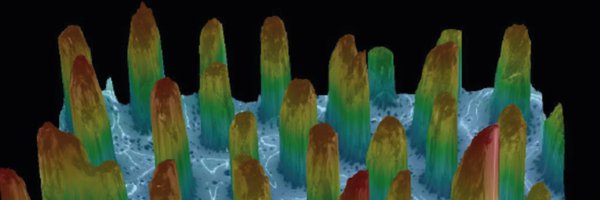 AJTM_M Profile Banner