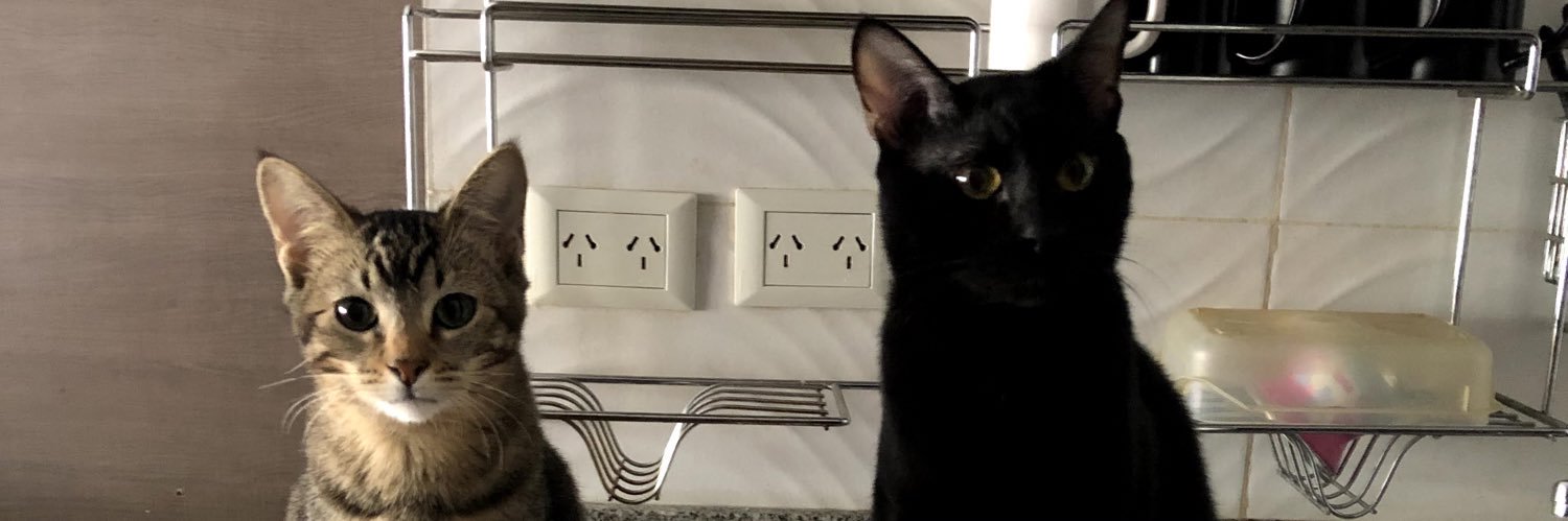 ok_milalba's profile banner image
