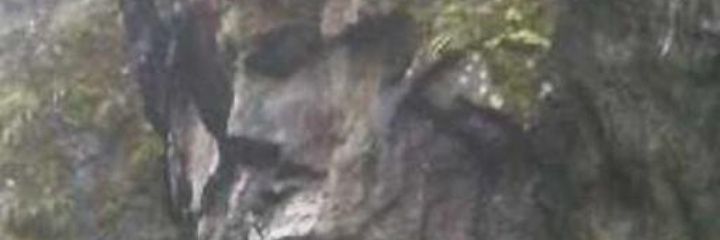 rodryprincesota's profile banner image