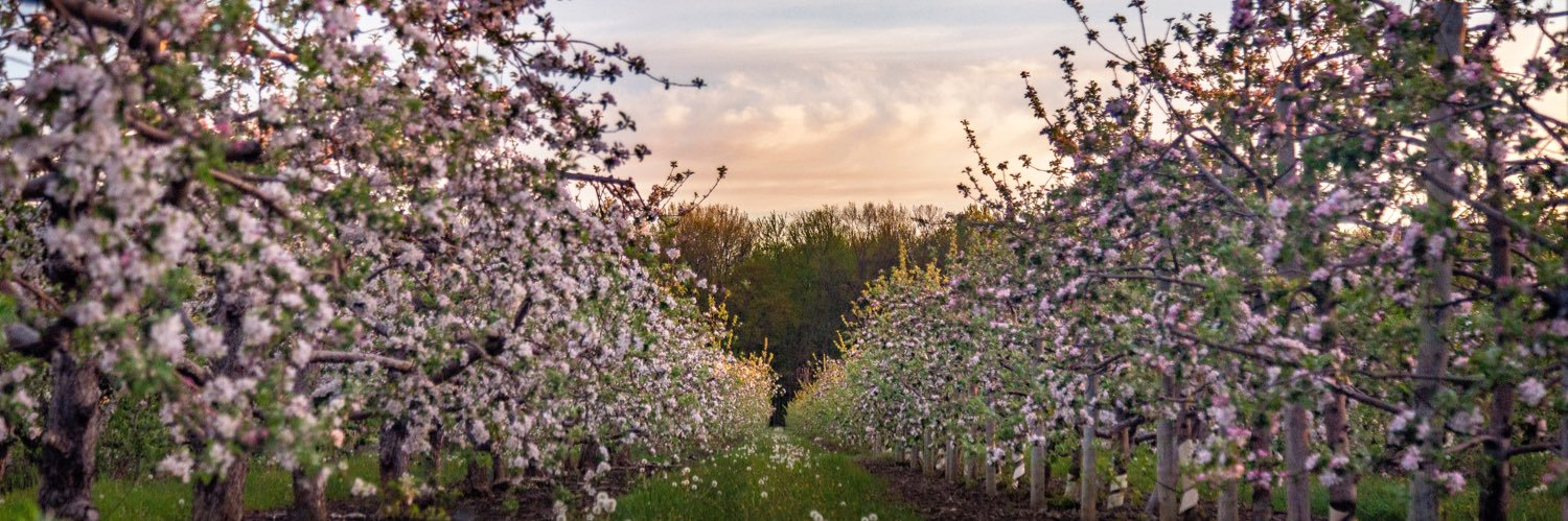 Andrew Paul Blake banner
