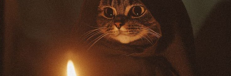 _Canteros_'s profile banner image