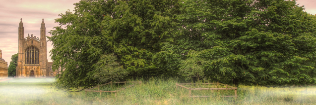 JCJCartwright's profile banner image