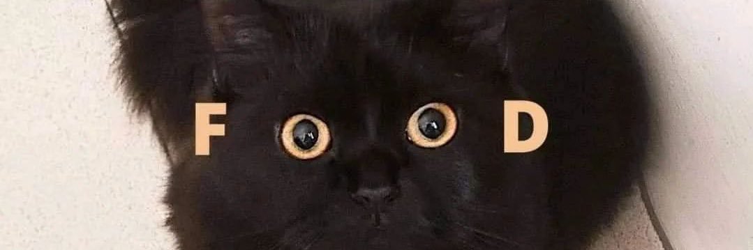 mattsnkk's profile banner image