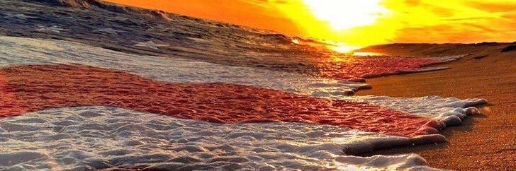 Aaronstarr_29's profile banner image