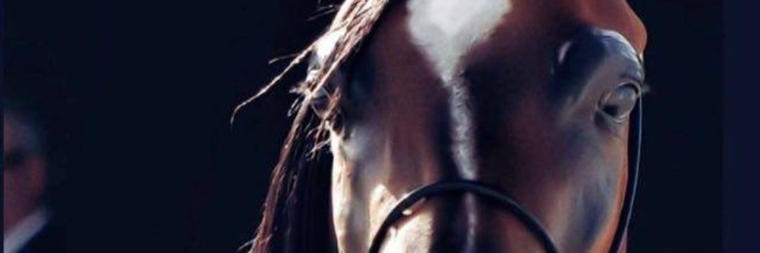 alrooqei's profile banner image