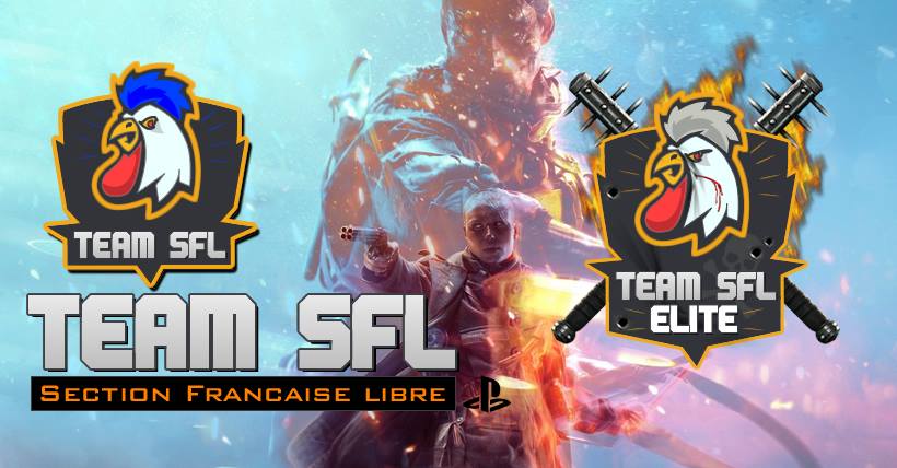 Team SFL banner