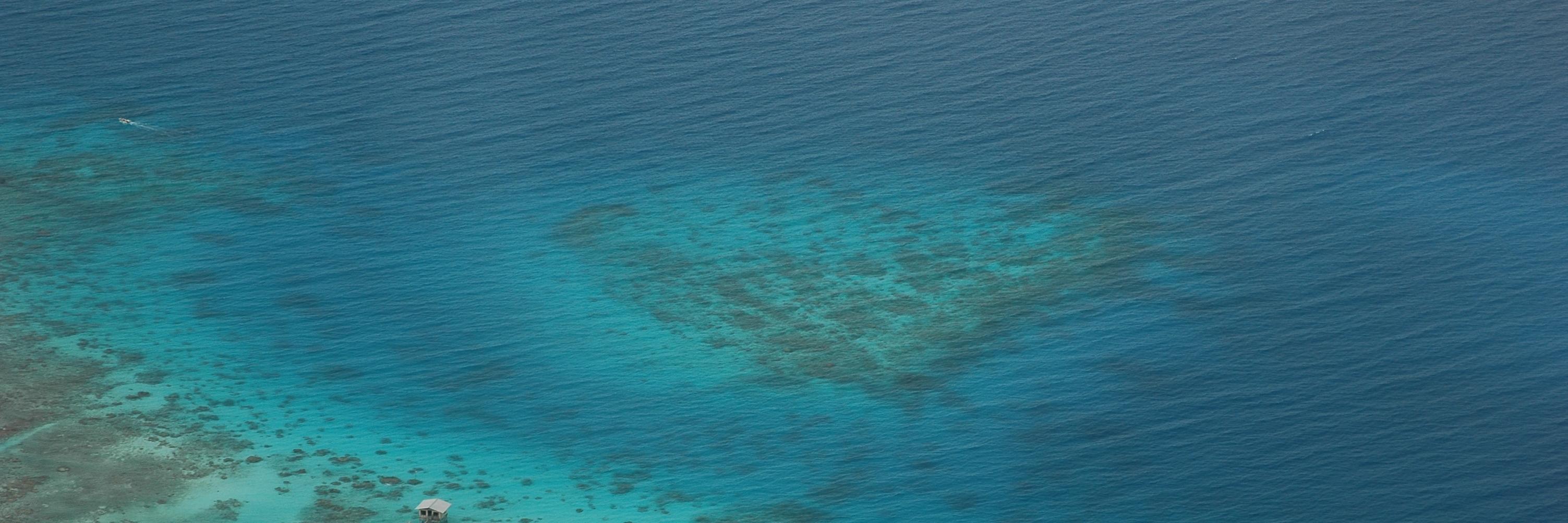 Erwan Le Corvaisier banner