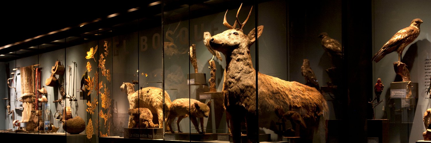 Museo de Historia Natural de Concepción banner