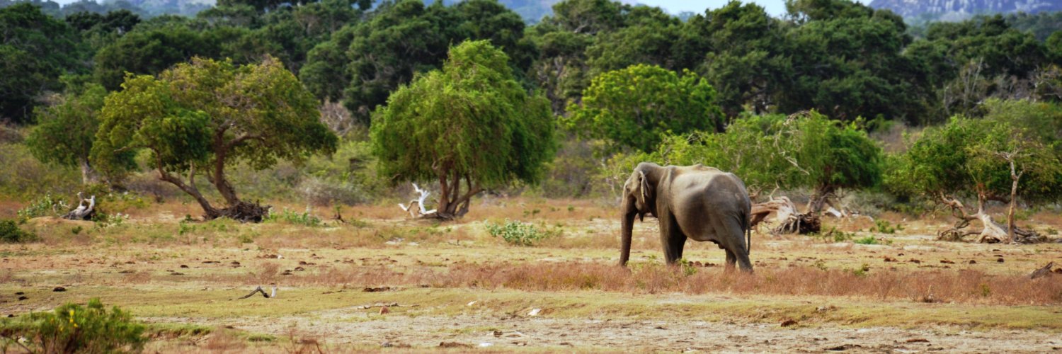 mranatunga's profile banner image