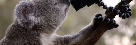 TehECB2's profile banner image