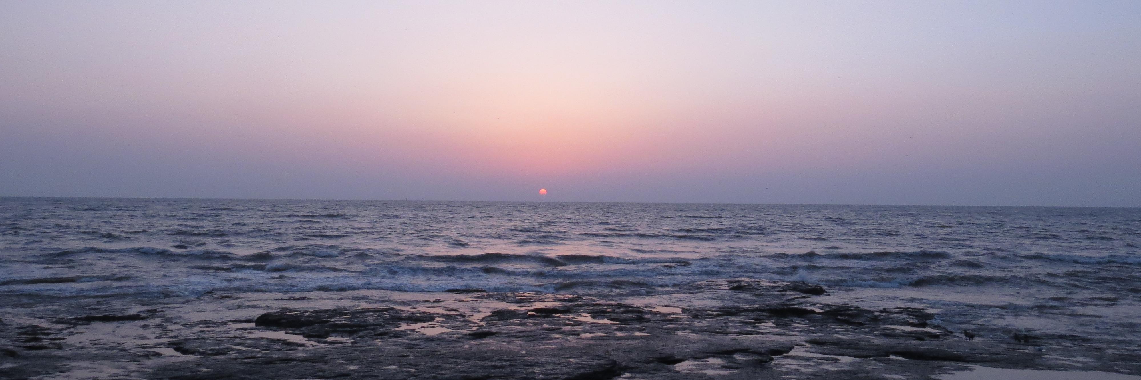 thakarps's profile banner image