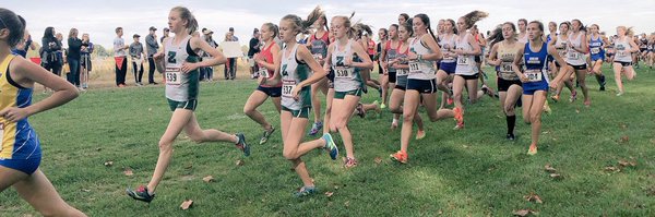 AlphaTiming Profile Banner