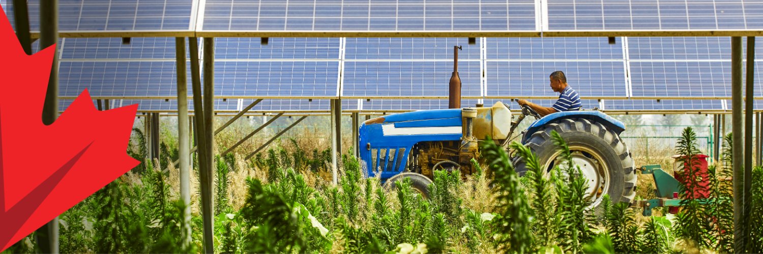 Development Canada banner