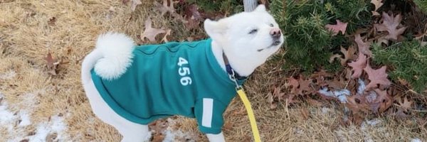 monienyamjun Profile Banner