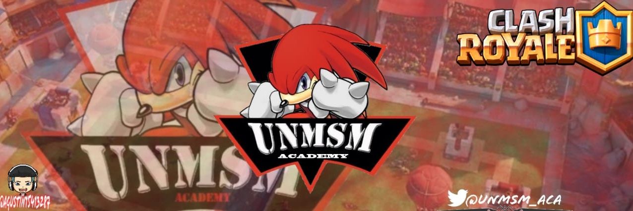 UNMSM ACADEMY banner