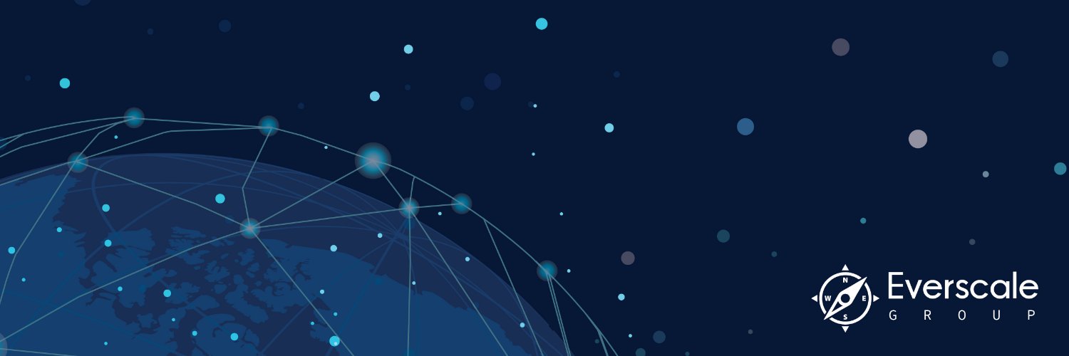 Everscale Group banner
