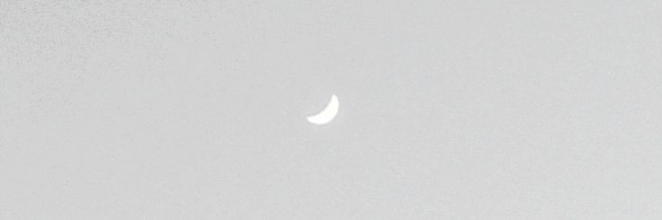 cami. banner