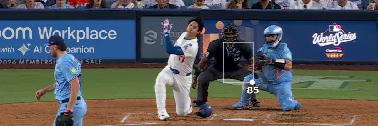 Michael Favaro banner