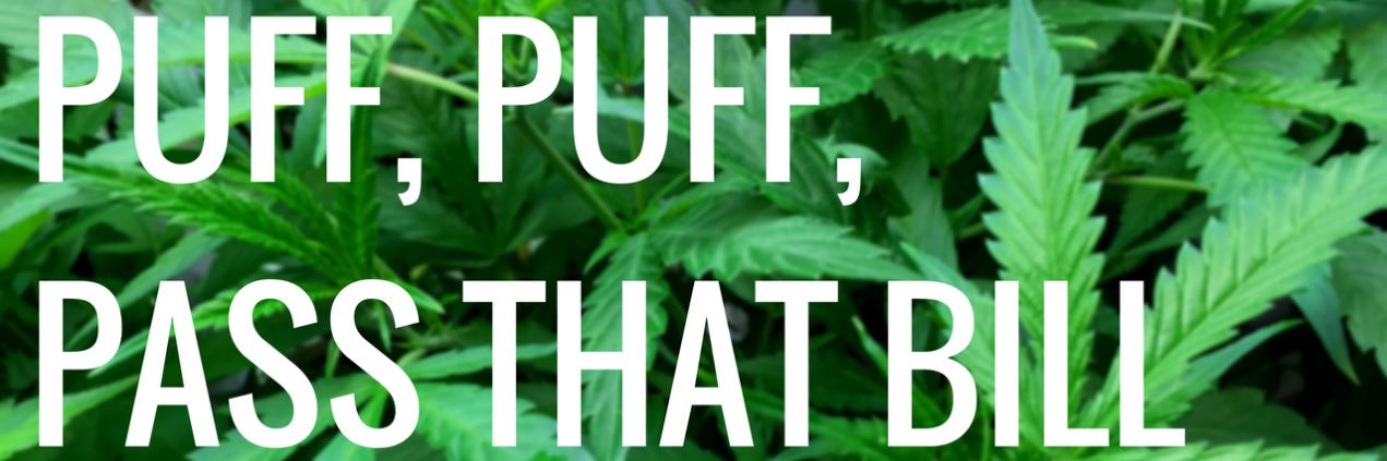 MaryJaneisSafe's profile banner image