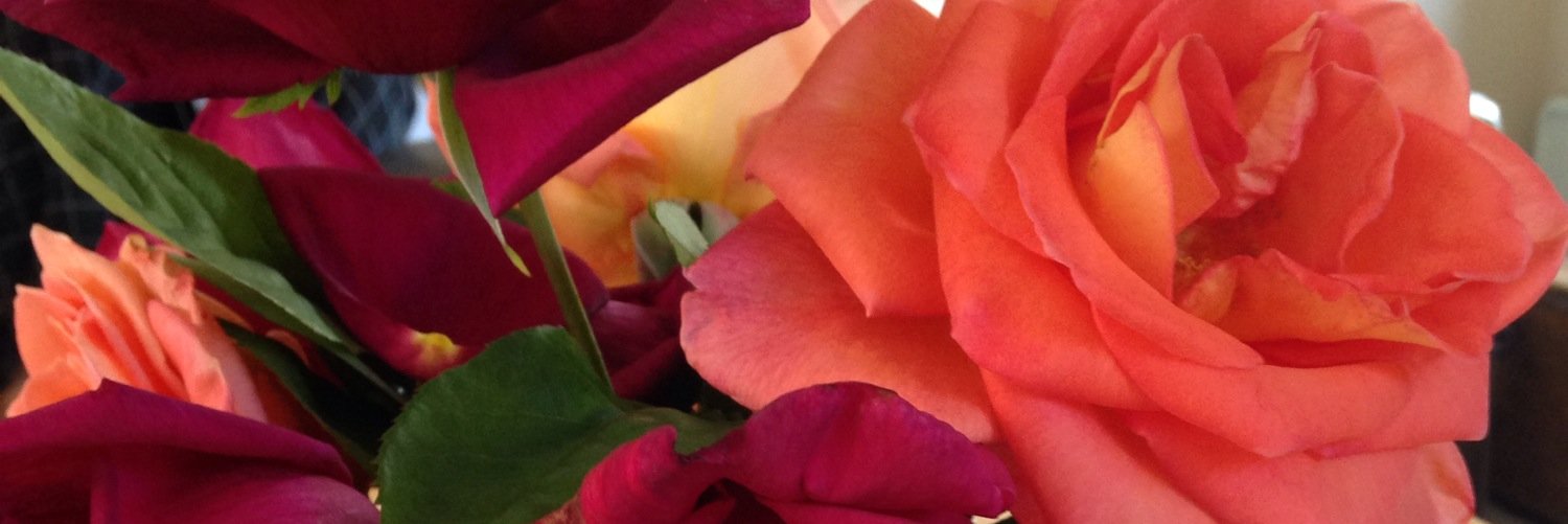 molly_trumble's profile banner image