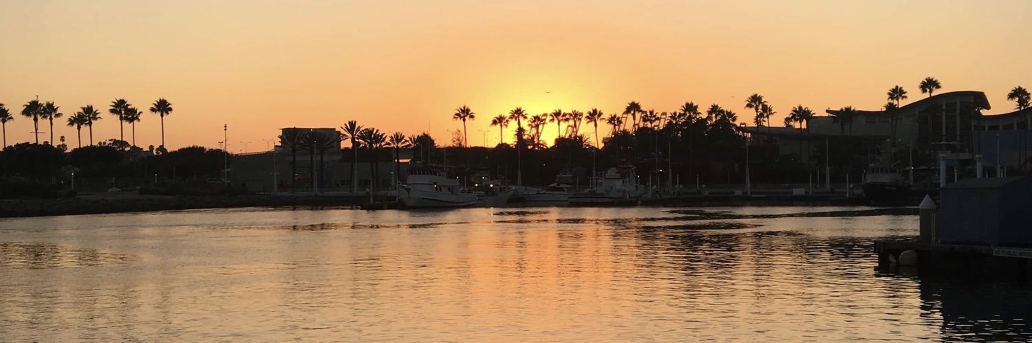 Shore to Shore Film Festival banner