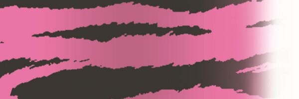 DivasLifeFitnes Profile Banner