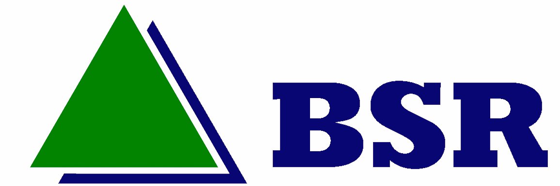 BSRINS's profile banner image