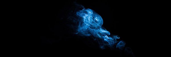 flennii Profile Banner