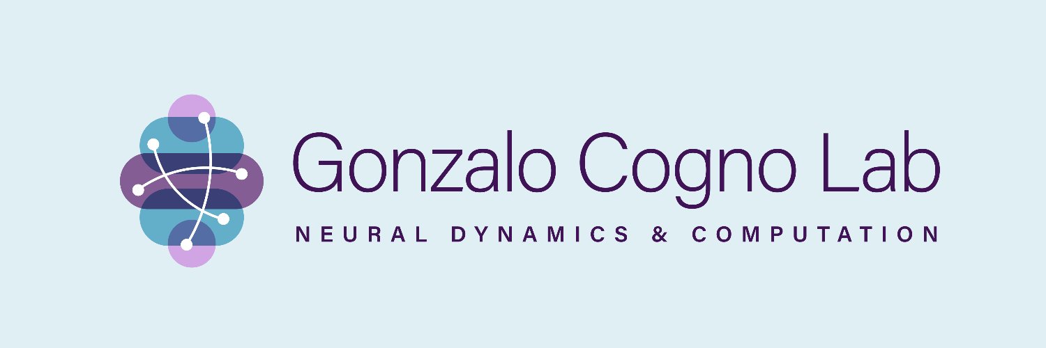 Soledad Gonzalo Cogno's banner