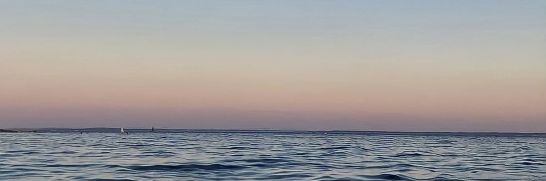 🌺 banner