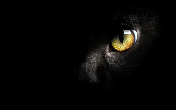 gatotuber1982's profile banner image