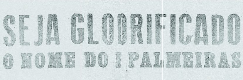 Spinella 🐷 banner