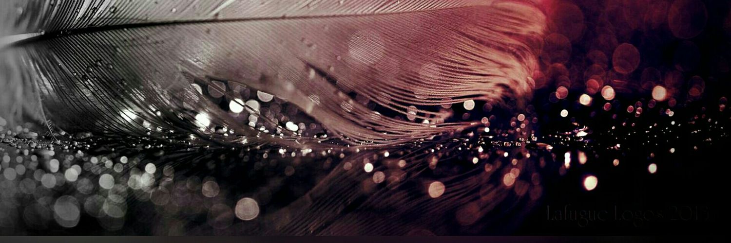 LCiku's profile banner image