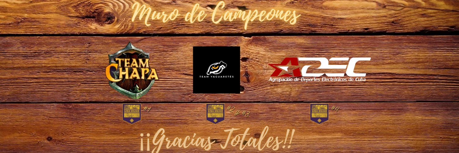 Hearthstone Paraguay banner