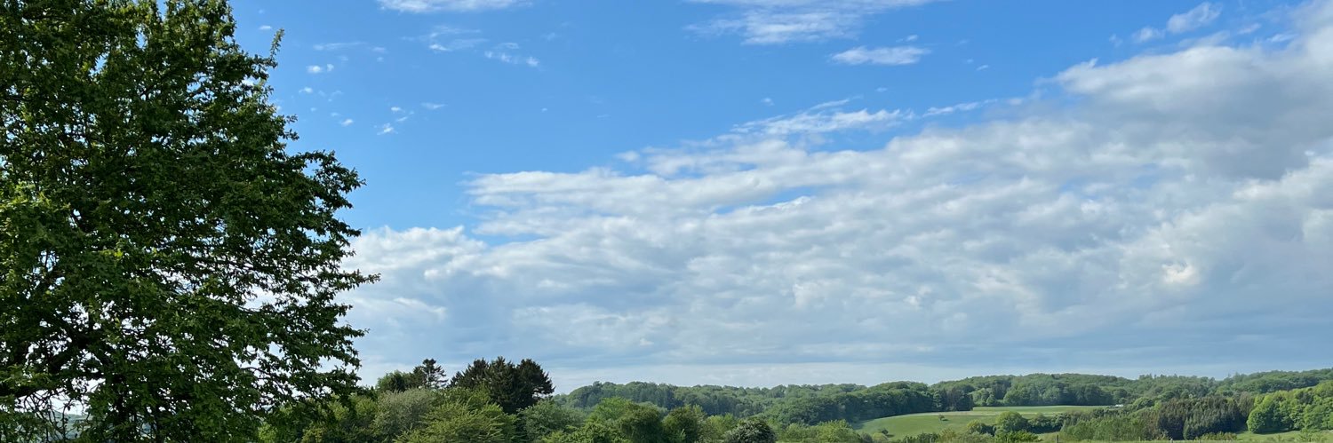 ilsegaardahl's profile banner image