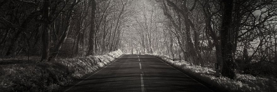 Felix W. Gonzalez banner