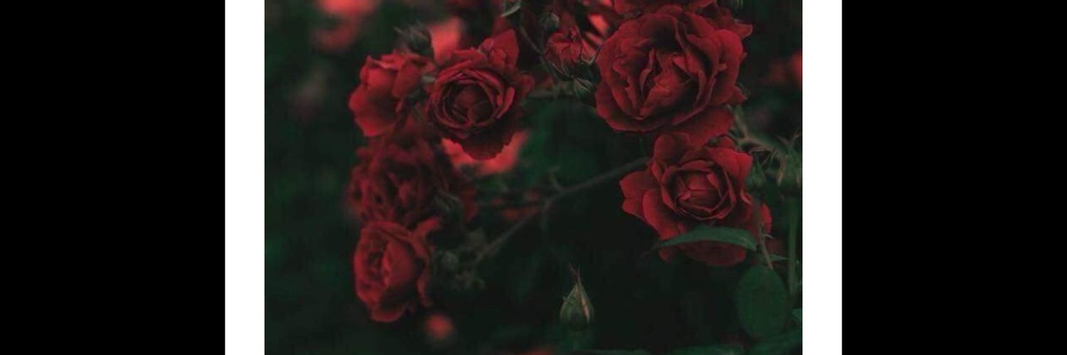 never2forget198's profile banner image