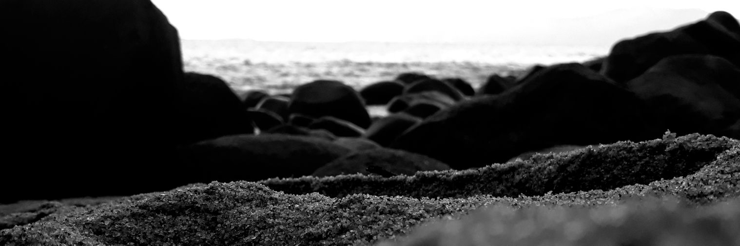 LeoFMacedo's profile banner image
