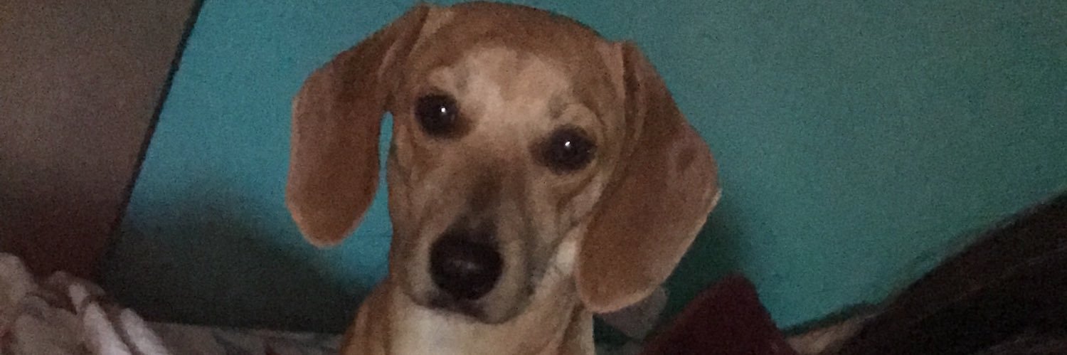 MackaMontenegro's profile banner image