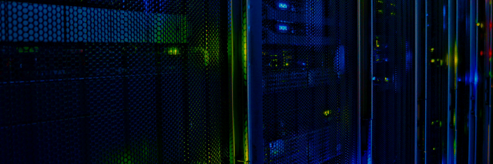 Liz Quilty ♡ banner