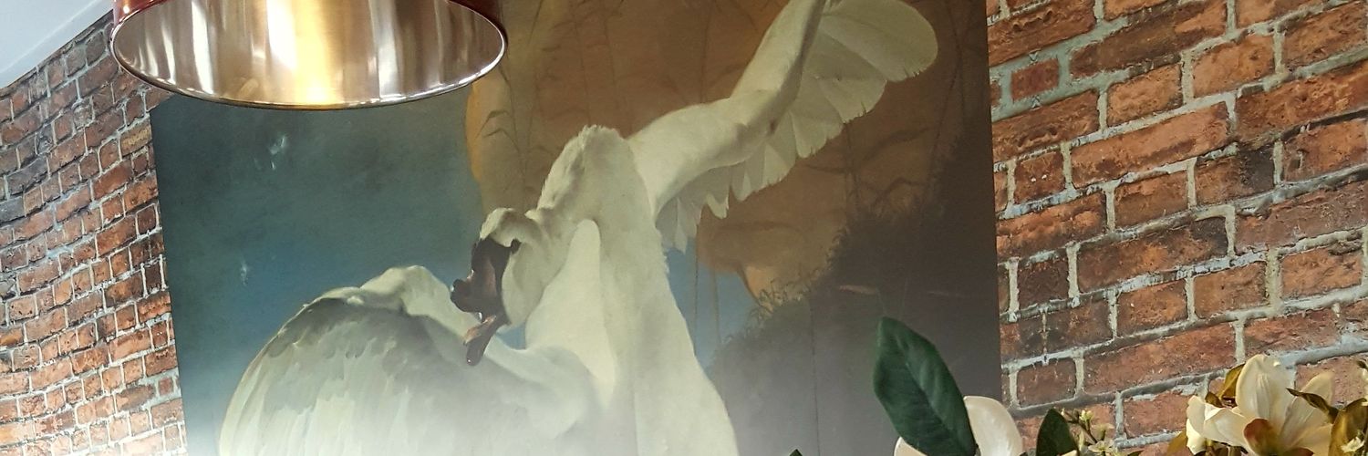 haarenco's profile banner image