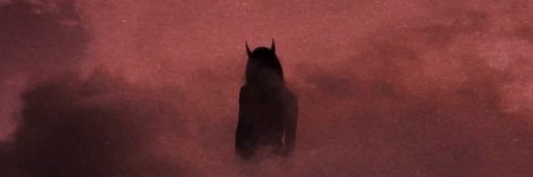 camdre13's profile banner image